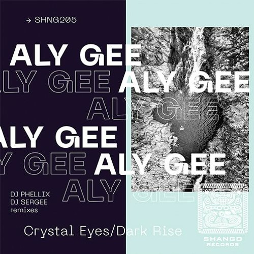 Aly Gee-Dark Rise