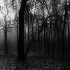 ali yasini nemikhastam