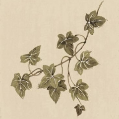 miles - Flowering Leaves Pt1 && 2 @leoewski @adriennbeau @okmax @bino