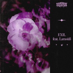 Exil (feat. Larasüß)