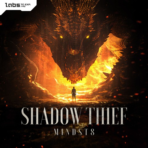Mindst8 - Shadow Thief (Radio Edit)