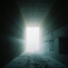 Terminal Light