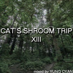 Cat's Shroom Trip XIII (JULY 2021 RIDDIM DUBSTEP MIXTAPE)