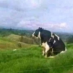 bato sa bohangin short cober hahahah