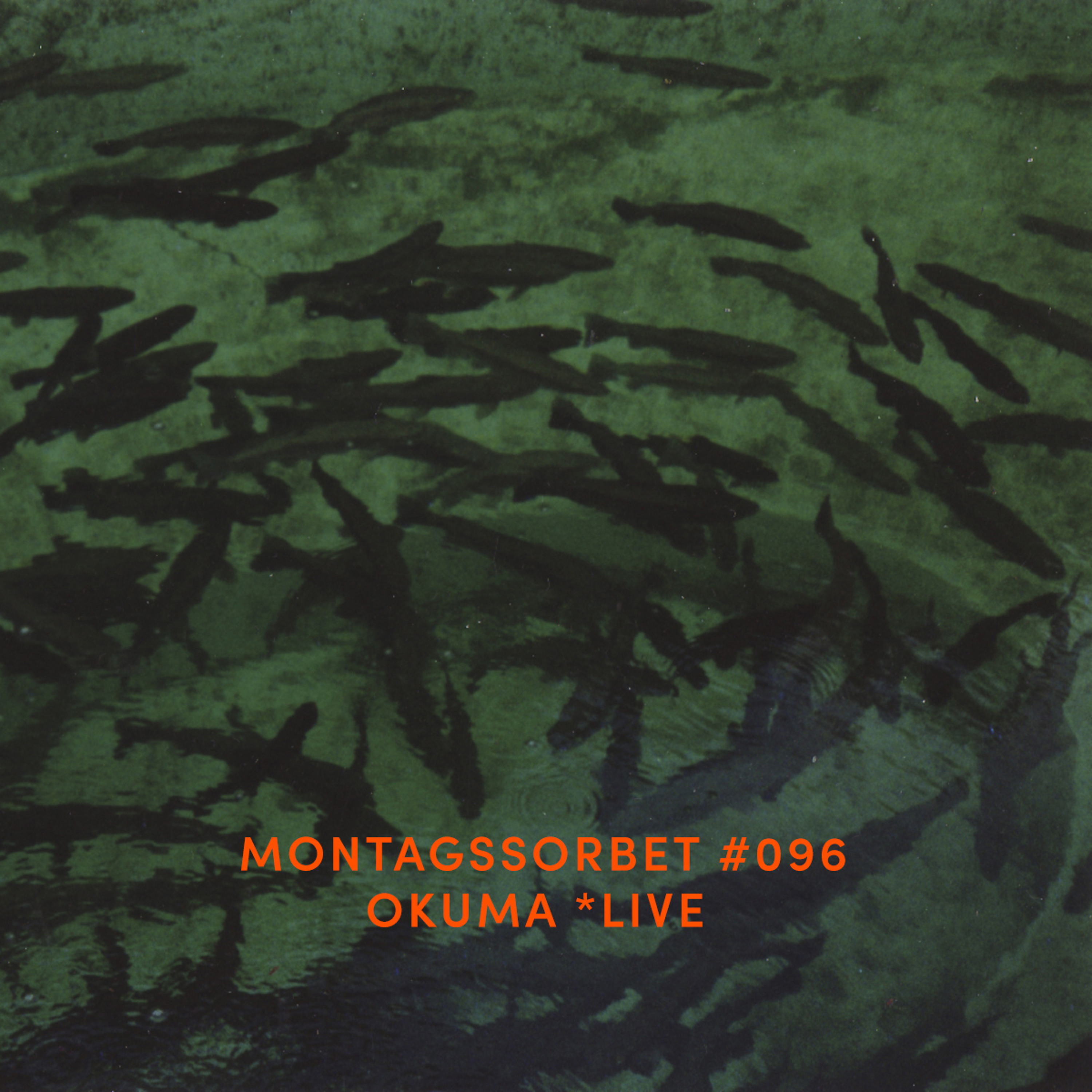 Montagssorbet mit Laut & Luise