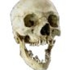 Slowed For Copyright