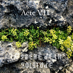 Le Poème De La Solitude