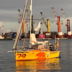 Eric Marsh Mini Globe Race Leg 2 Week 10