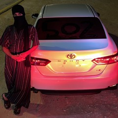 اياد مشعل  دبكة حبيناك ودلعناك  مطلووبه.m4a