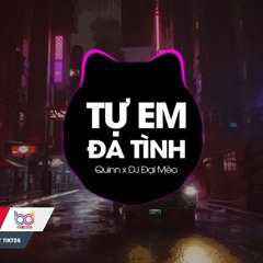 Tự Em Đa Tình - Quinn (Đại Mèo Remix) - Duyên Kiếp Hóa Theo Nàng Tình Tan Hot tik tok.mp3