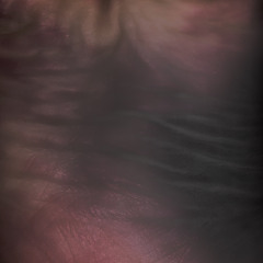 epidermal