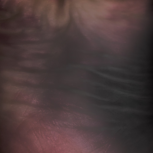 epidermal