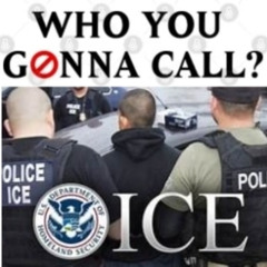 Who You Gonna Call-(ICE ICE BABY) 2025/808) (FT) Whitney Houston