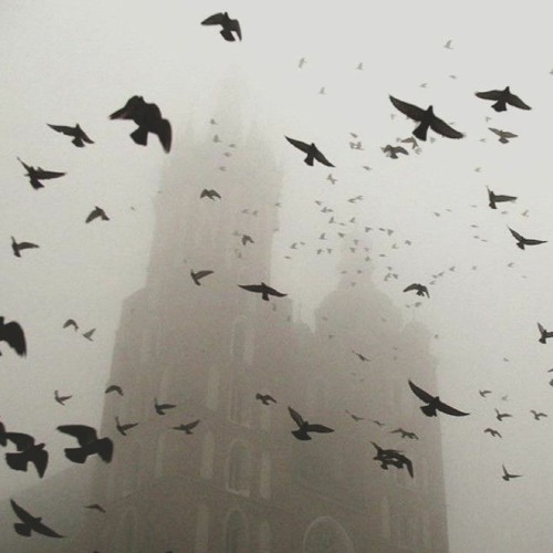 dom corleo x destroy lonely type beat - "daleko"