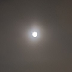 20250908