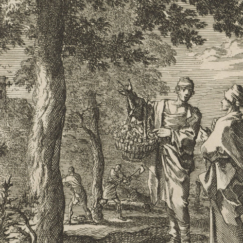 “A Tree is Known by Its Fruits: Seeking the Heart of Christ” - Homily - 7th Sunday of Ordinary Time, Year C