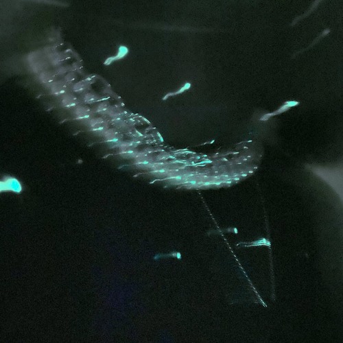 A-TAKE - (prod. by @santaluspray4us)