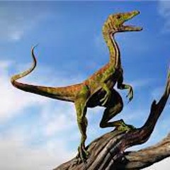 Compsognathus