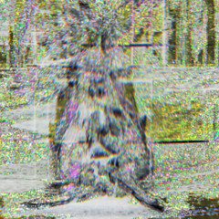 liberal fascist demands