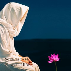 SovaCast #14 (Flower Of Life) / Kinky Party Live