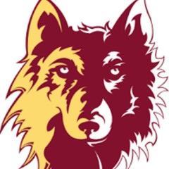 RADIO HIGHLIGHTS - NSU 28 Wayne State 21