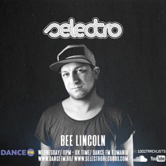 Selectro Podcast #349 w/ Bee Lincoln