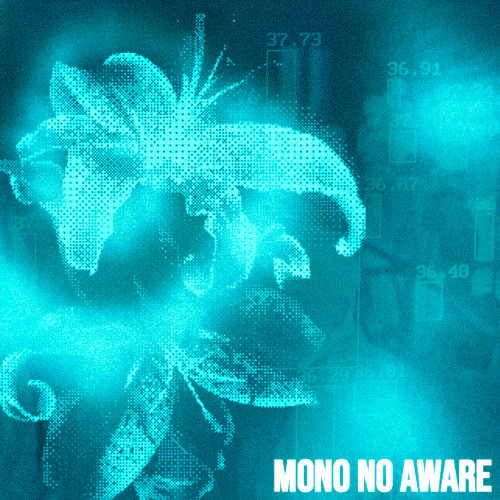 the field where orchids sleep