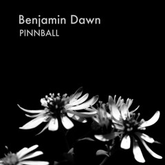 PINNBALL