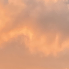 forgotthenameWWW.mp3