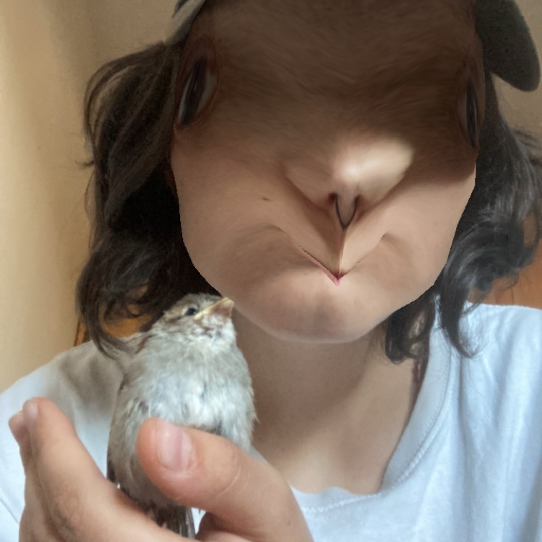 sarga