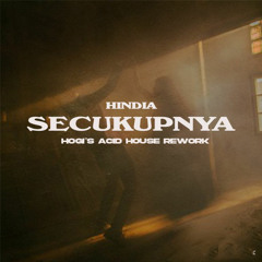 Hindia "Secukupnya" Hogi's Acid House Unofficial Rework