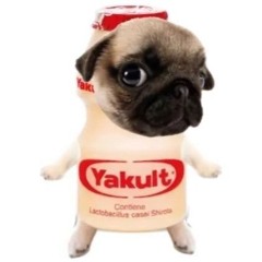 Matalino Street - Zild (Cover)