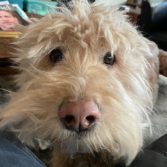 Jean Yuhs V3 - 12:8:22, 1.04 PM