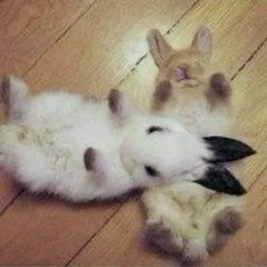 инет любовь)