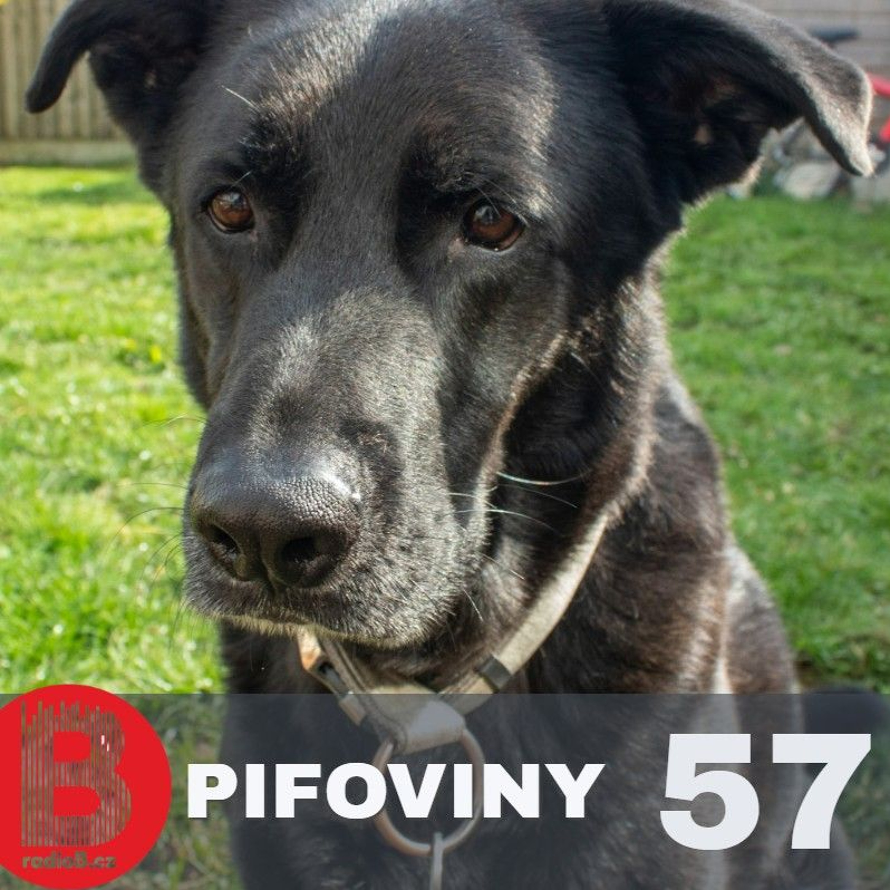 Pifoviny #57 (Pif)  Soulful House / 19.05.2024 episode artwork