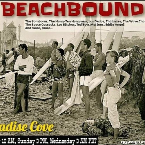 Stream Beachbound Paradise Cove 2023 by DJ Dotty Paradise Cove