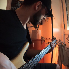 VIP - Znam brate w/ bass