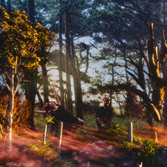 PREMIERE : Maranta - Into The Evening (Paradise Palms Records)
