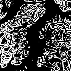 Absolutly - Newcomer.wav