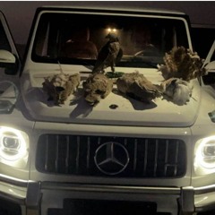 ᴹᴿᴹ مـسـفـر الـسـنـدوانـه