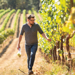 #182 W.T. Vintners & Gorgiste - Jeff Lindsay-Thorsen