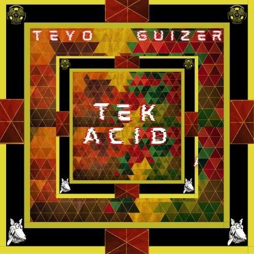 Tek'a Cid ( Ft. Guizer ) 💿 ACIDIKA 01 [Limited 200 / Numbered / Splatter Disc ]