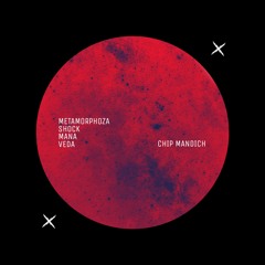Chip Mandich - Metamorphoza