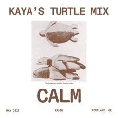 Kaya's Turtle Mix (05/11/2023)