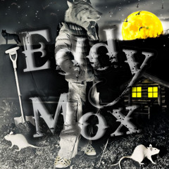 Eddy Mox