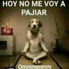 Ya no me voy a pajear