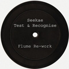 Test And Recognize - Seekae (TikTok Remix) Flume Re-Work