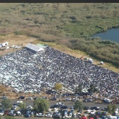 Copy of New & hot: Pop