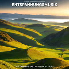 Entspannung