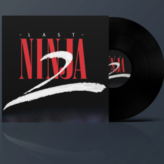 Central Park In Game Theme From Last Ninja 2 (Reformation 5 NEW Preview)